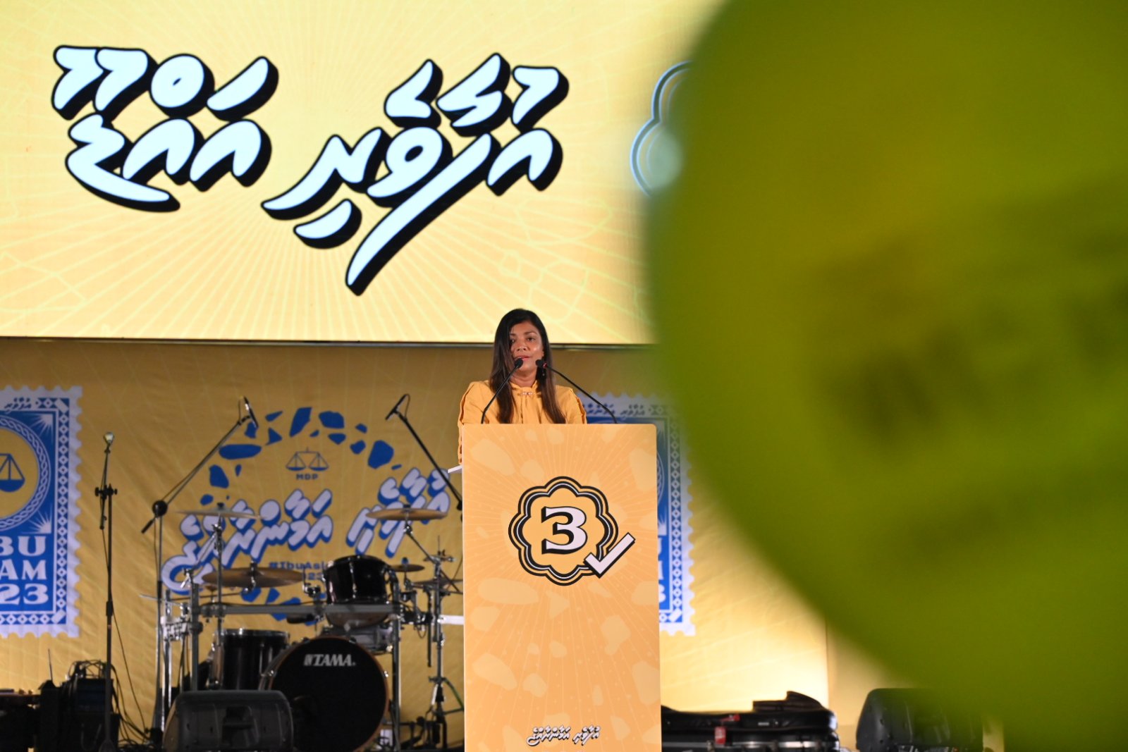 އެންމެ ބޭފުޅަކު ބޭނުންވާ މަސައްކަތަކަށް ދައުލަތުން ބޮޑު ޚަރަދެއް ކުރާކަށް ނުޖެހޭ: ރޮޒެއިނާ