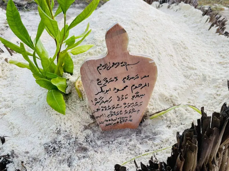 މަހުމޫދުގެ ގާތިލުން ހޯދަައި އިންސާފުގެ ކުރިމައްޗަށް ގެންނަން ގޮވާލައިފި