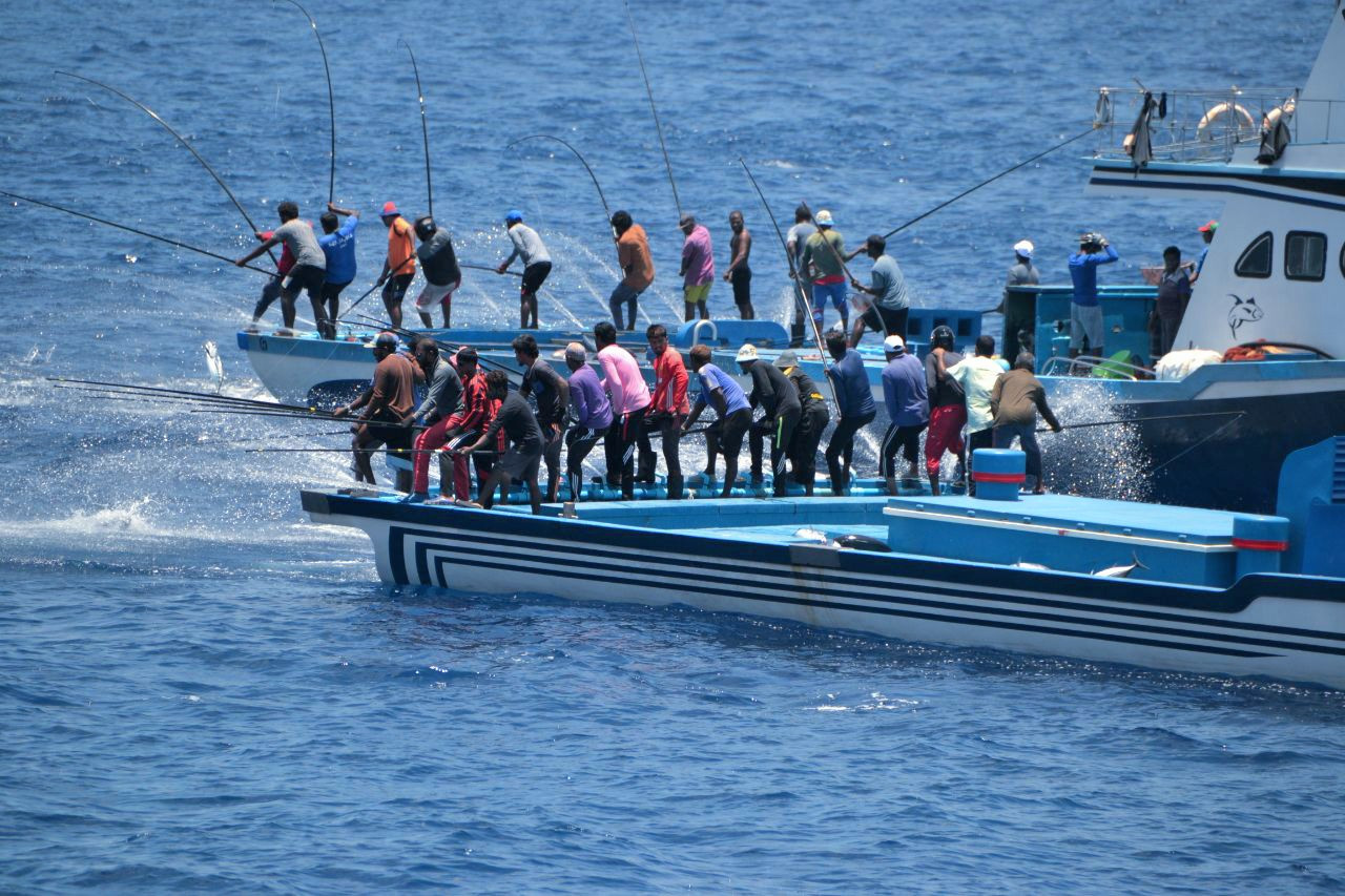 ބޭރުގެ އުޅަނދުފަހަރުން ރާއްޖޭގެ ސަރަޙައްދުގައި ކަނޑުމަސް ގަތުމުގެ ލައިސަންސް ދެނީ