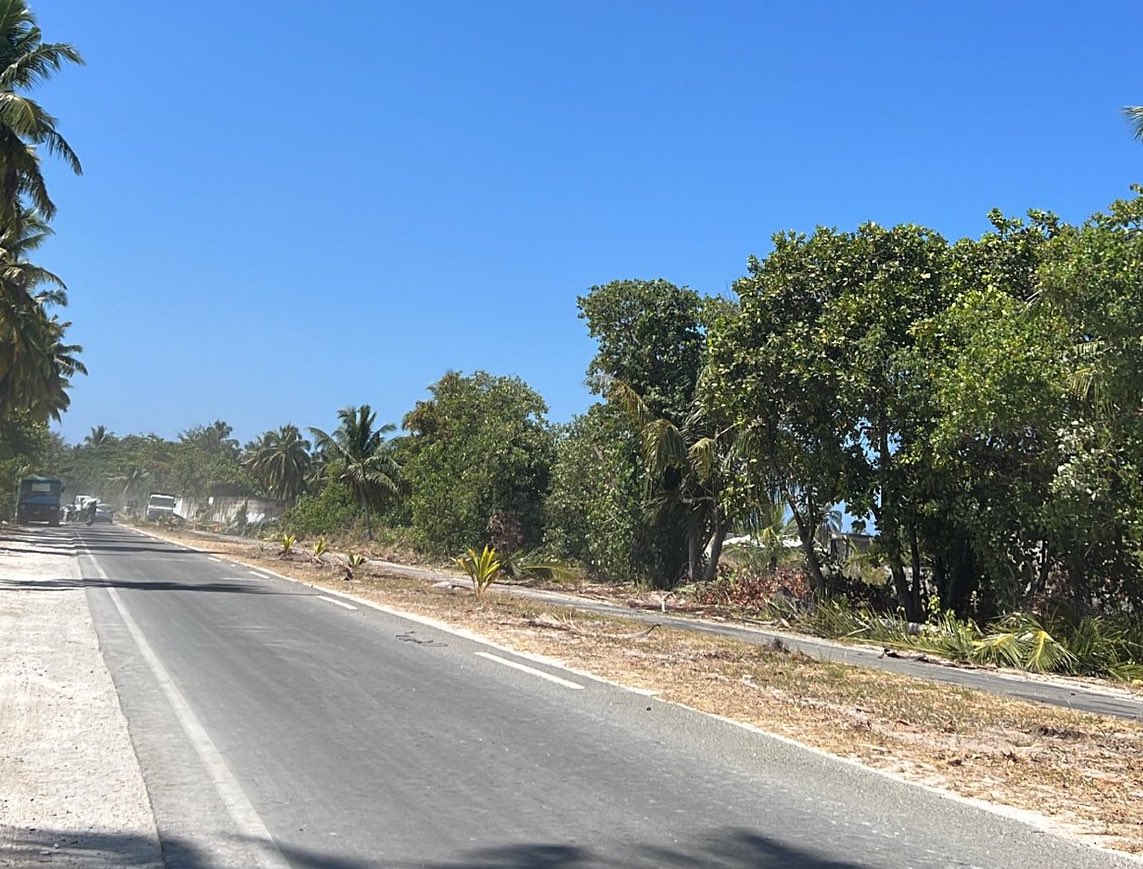 އައްޑޫ ލިންކު ރޯޑުގައި ހުރި ގިނަ ރުއްތަކެއް ކަނޑާލައިފި