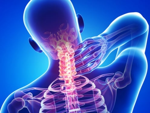 ވޭނާއި ތަދުގެ ޙިކުމަތް 