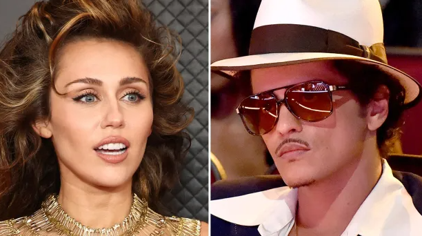 ބްރޫނޯ މާސްގެ ލަވައެއް ކޮޕީ ކުރުމުގެ ތުހުމަތު މައިލީއަށް