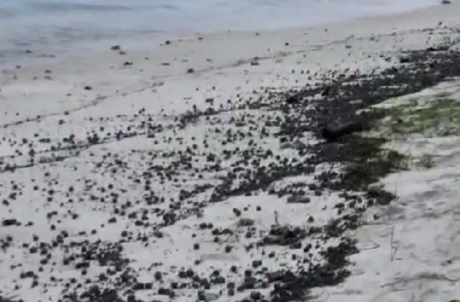 ހުޅުމާލެ ގޮނޑުދޮަށަށް ތާރު ބޯޅަ ލައްގަނީ!