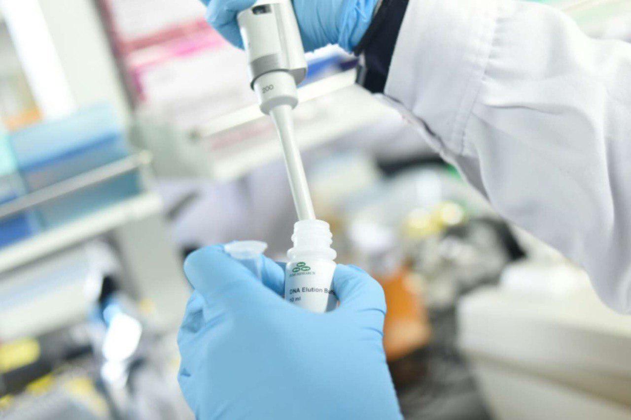 ކޯވިޑް-19: ބޭހެއް ހޯދިއްޖެ؛ ވެކްސިނަކާއި ނުލައި ވައިރަސް ހުއްޓުވޭނެ - ސައިންސްވެރިން