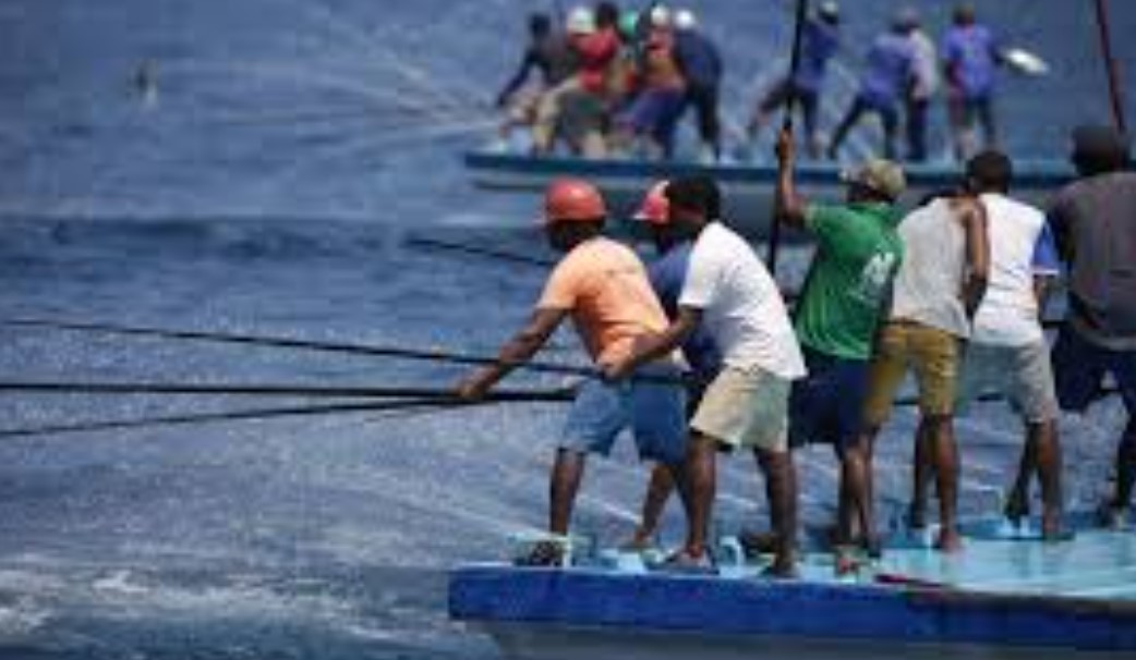 ފަރުމަސް އާލާކުުރުމަށް މީހުން ބިނާކުރުމަށް ހިންގާ ޕްރޮގްރާމްގައި ބައިވެރިވާން ހުޅުވާލައިފި