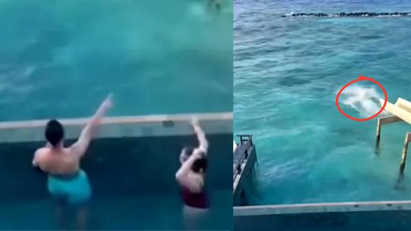 ރާއްޖޭގެ ރިސޯޓެއްގައި ގެނބެމުން ދިޔަ ދެމަފިރިން ސަލާމަތް ކުރީ ރިއާލް މެޑްރިޑްގެ ކުޅުންތެރިއެއް!