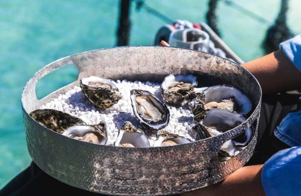 އޮސްޓްރޭލިއާއިން އެތެރެކޮށްފައިވާ އޮއިސްޓަރގެ ބާވަތެއް ބޭނުންނުކުރަން އަންގައިފި