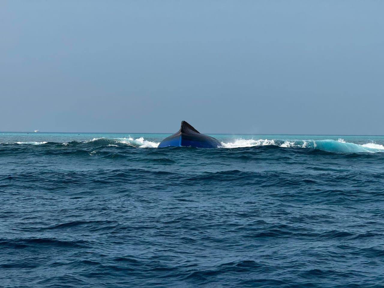 ބަންޑުން ޖަހާލި ބޯޓުގެ ބައެއް ތަކެތި އޮޔާދާތީ، ސަމާލުވުމަށް އިލްތިމާސްކޮށްފި