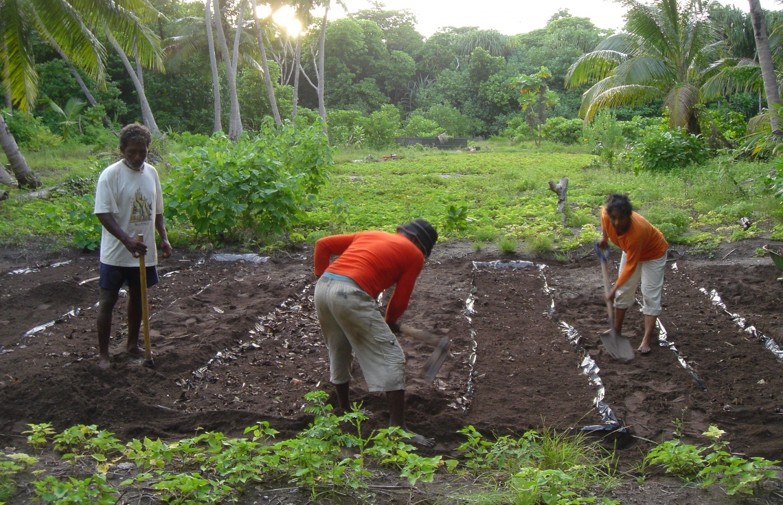 އެގްރޯނެޓުން މިދިޔަ ތިން އަހަރުގެ ތެރޭގައި 1069 ދަނޑުވެރިން ތަމްރީނުކޮށްފި