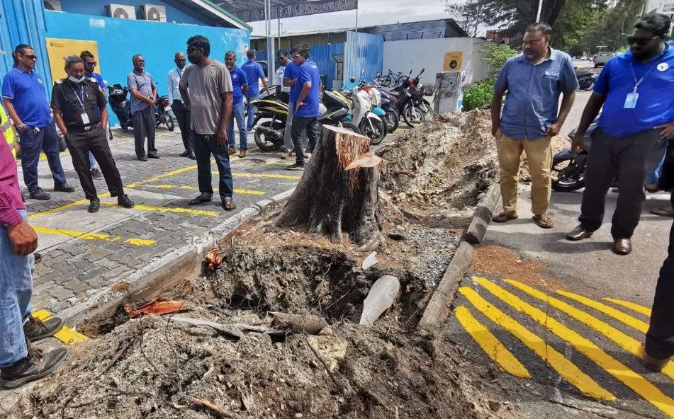 ގްރޭޓާމާލެ އިންޓަކަނެކްޝަން އޮޕަރޭޝަނަށް ގެނައުމުގެ މަސައްކަތް މިދަނީ ކުރަމުން - ސްޓެލްކޯ