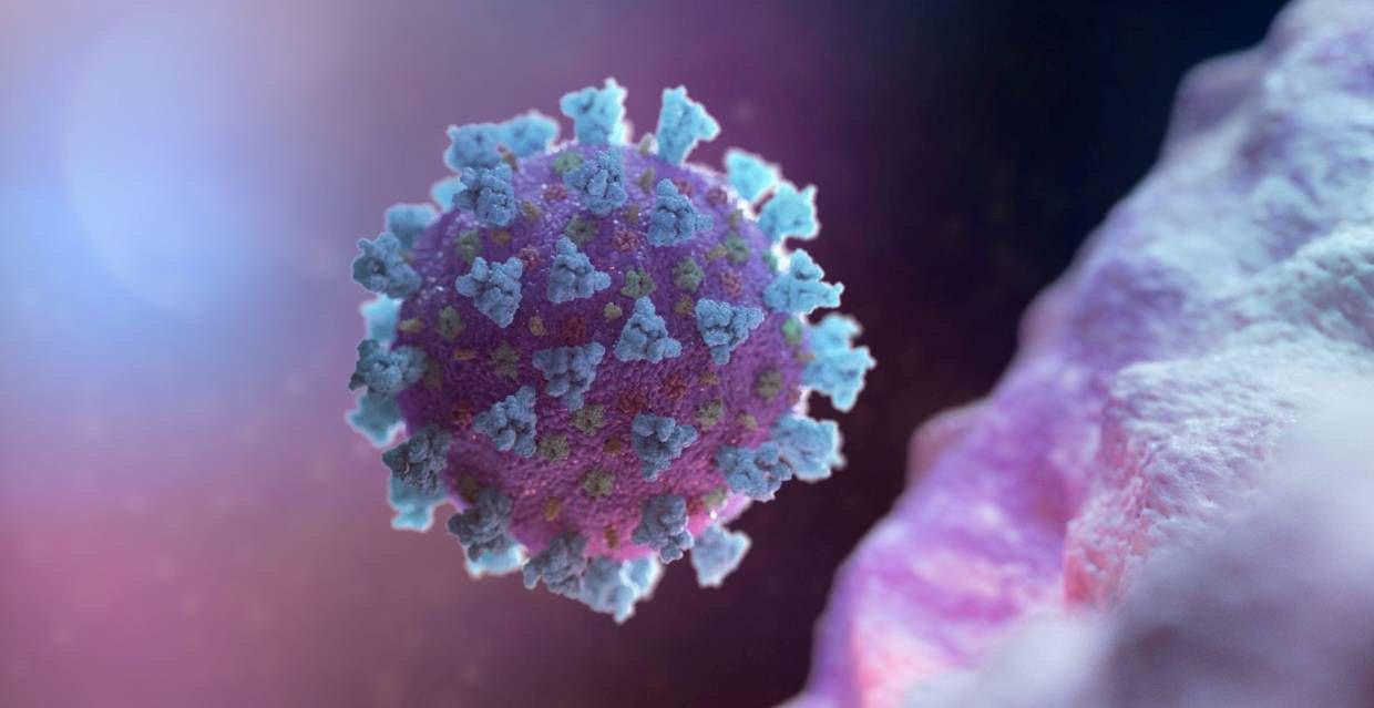 ކޯވިޑް-19: ރާއްްޖެއިން މިއަދު 30 މީހަކު ޕޮޒިޓިވްވެ ރާއްޖޭގެ ޖުމްލަ 1216 އަށް