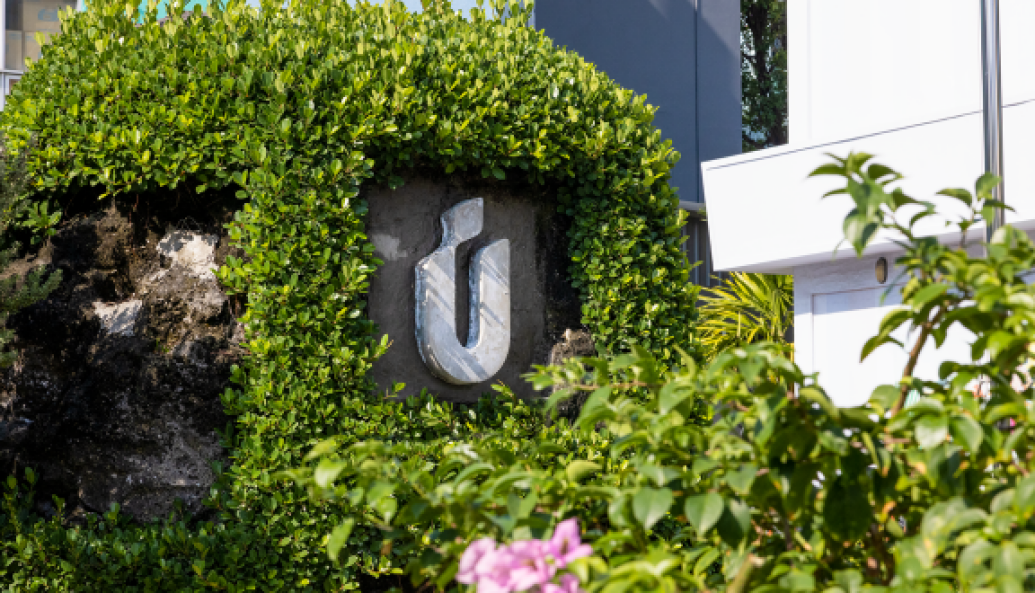 ހިޔާ ފްލެޓް ކައިރީ ހުރި ހަޓްތައް ނަގަން އަންގައިފި