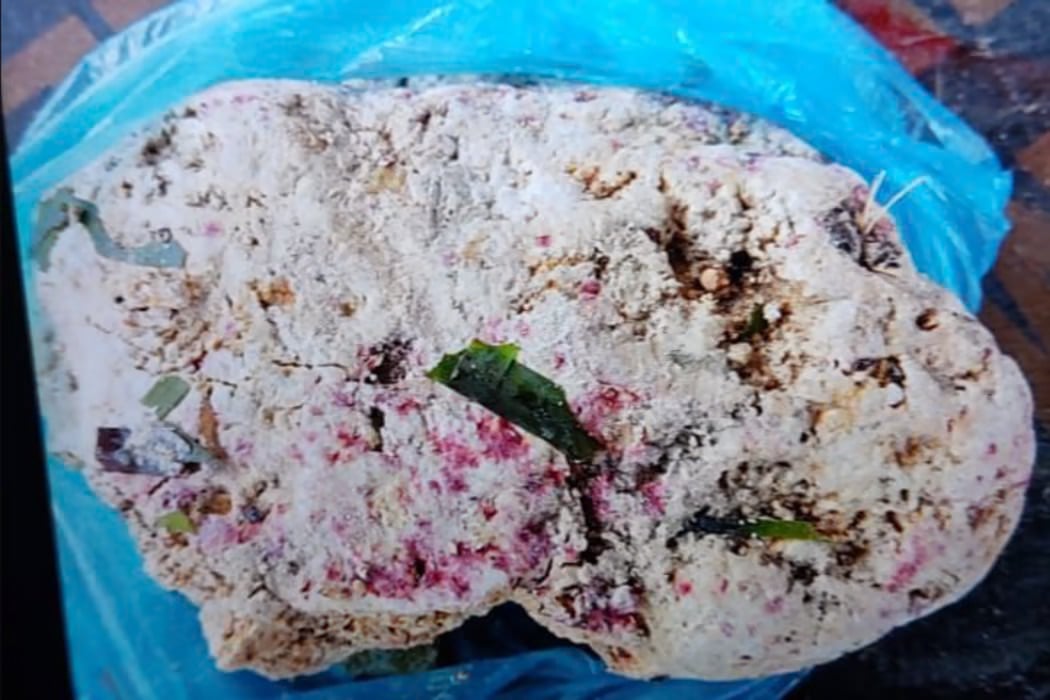 ކޮލަމާފުށިން 2 ކިލޯގެ މާވަހަރެއް ހޮވައިފި