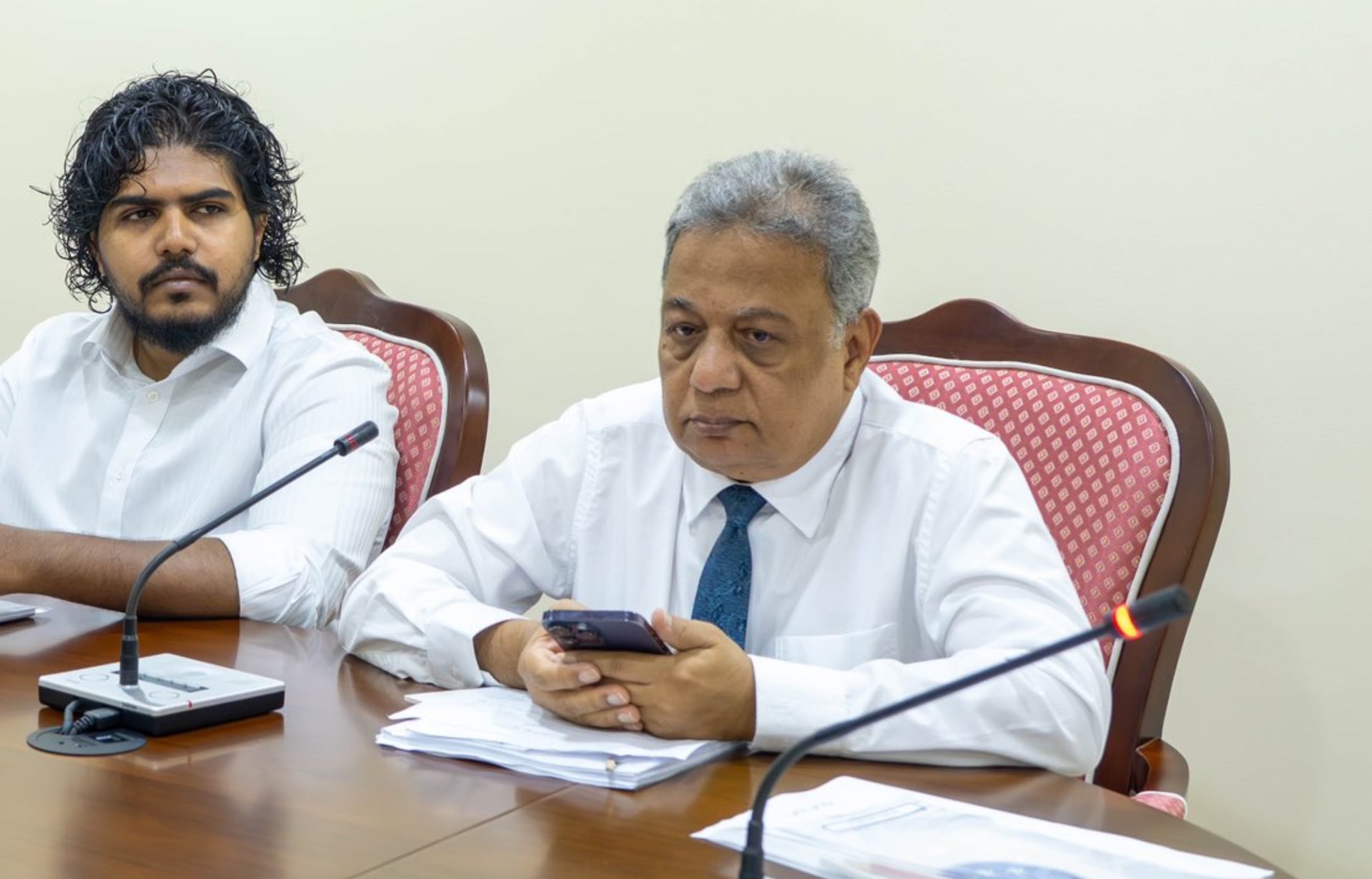 މައްސަލައަކީ މަޖިލީސް މެންބަރުންގެ ހިތްވަރު ނެތުން: ރެޑްވޭވް ސަލީމް