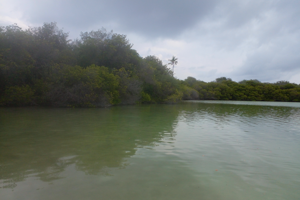 ފުނަދޫ ދަށްފަޅުގައި އިކޯ ޓޫރިސްޓް ހޮޓަލެއް ތަރައްގީކުރަނީ