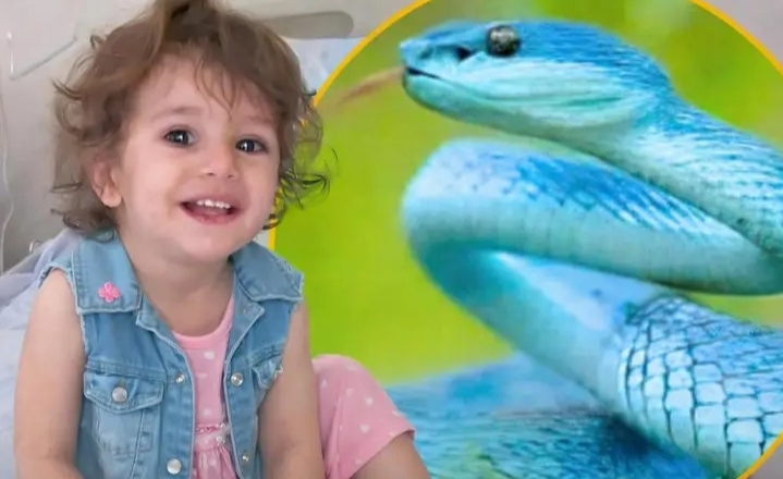 ހަރުފައަކާއި ދެ އަހަރުގެ ކުއްޖެއްގެ ކުރިމަތިލުމެއް: ނިމުނީ ހައިރާންކުރުވަނި ގޮތަކަށް