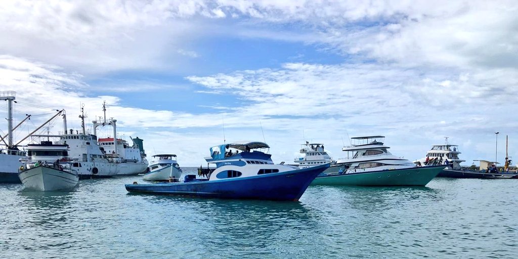 މާދަމާއިން ފެށިގެން ދޯންޏަކުން ކިރާނީ 7 ޓަނު: މިފްކޯ