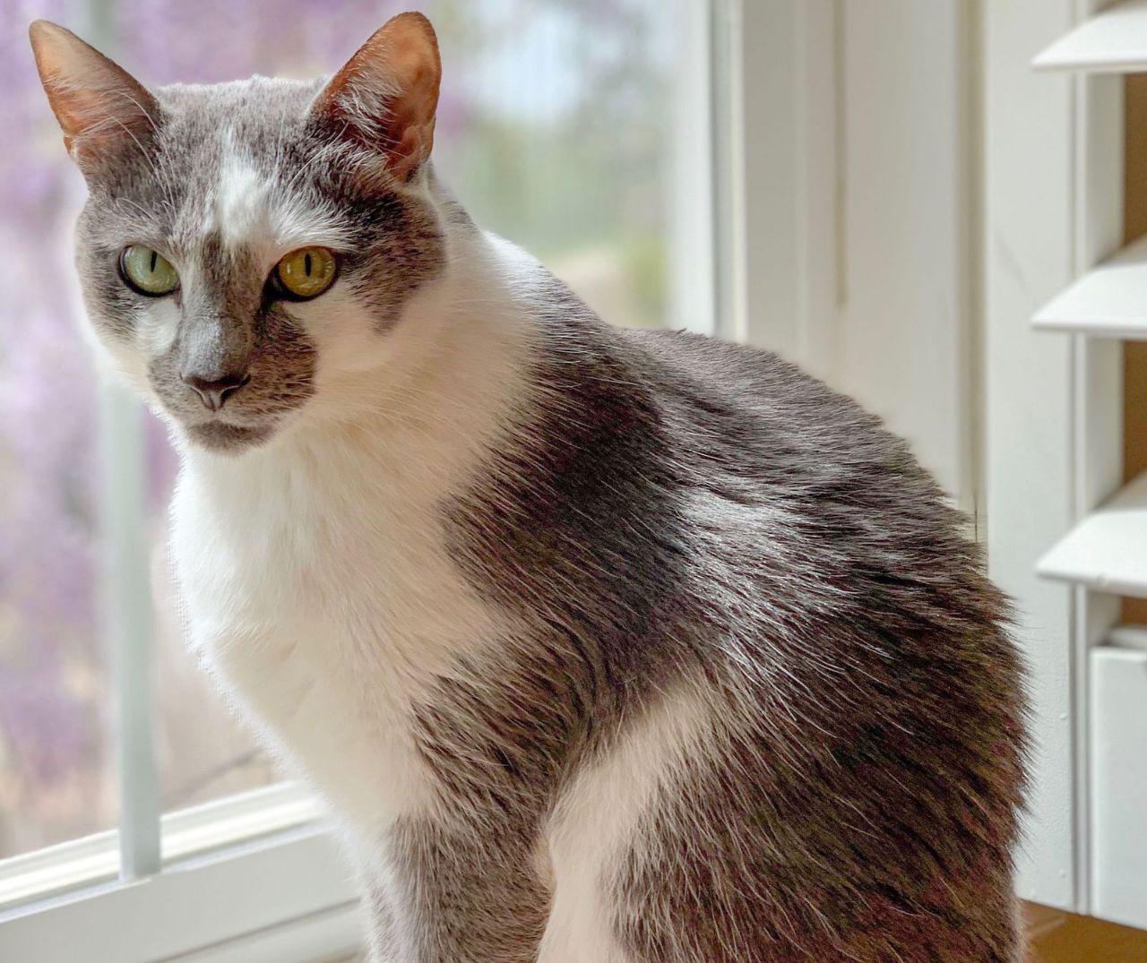 ކޯވިޑް-19: ބުޅާ ގެންގުޅޭ ފަރާތްތަކުން ސަމާލުވޭ، ބޭރަށް ނެރުން ބުއްދިވެރިއެއް ނޫން