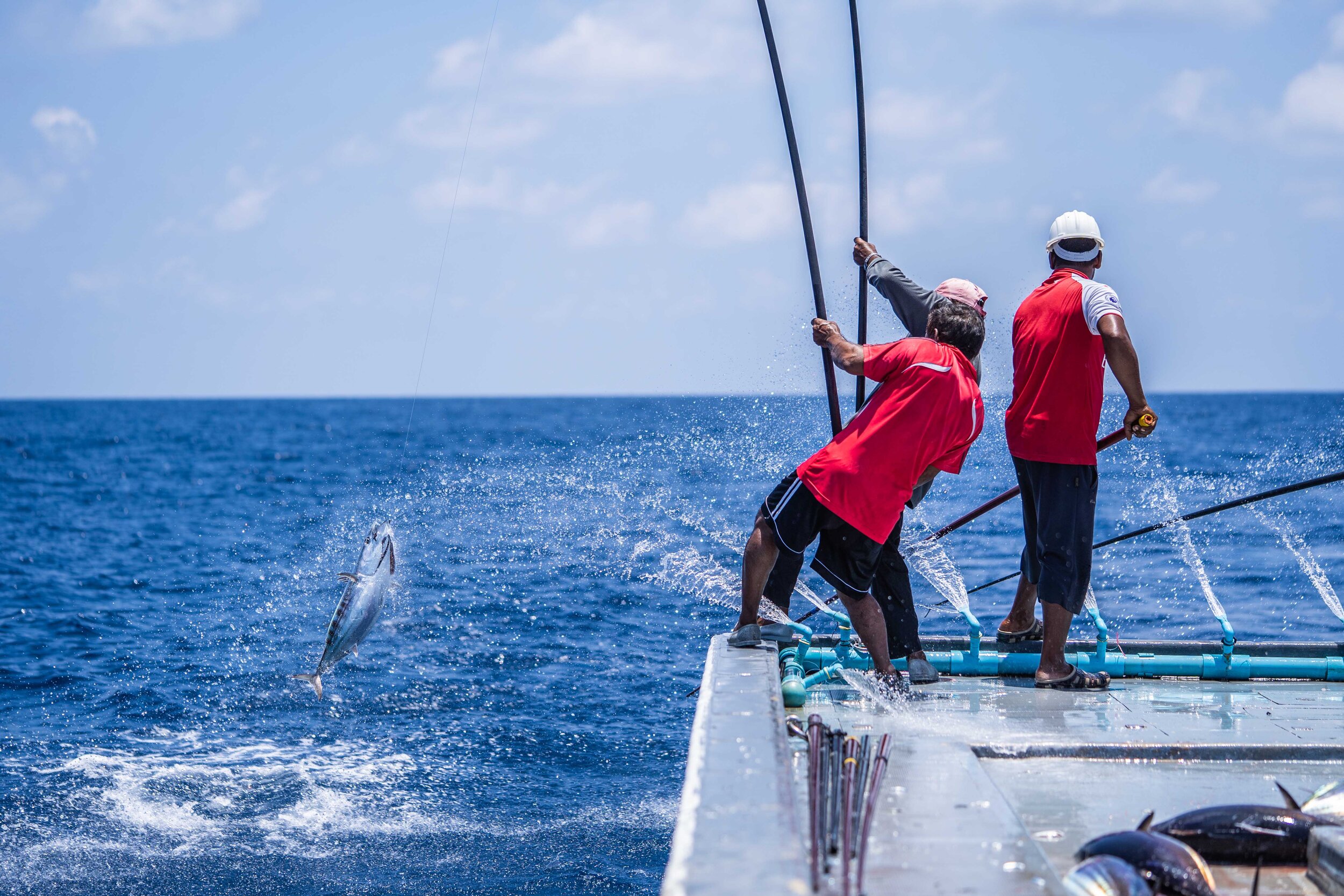 މީދޫ މަސްވެރިންނަށް ދިމާވާ މައްސަލަތައް ހައްލުކޮށްދޭނަން: މިނިސްޓްރީ