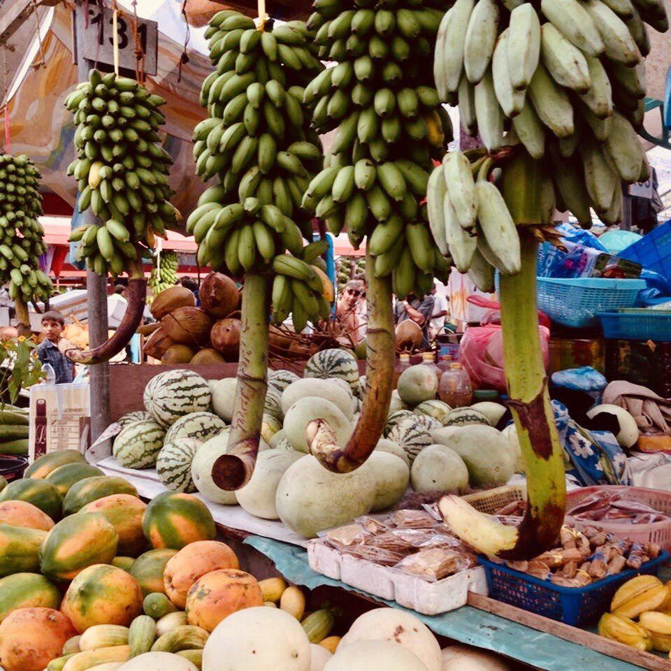 ދަނޑުވެރިން ހައްދާ ހުރިހާ އުފެއްދުމެއް ސަރުކާރު ހިއްސާވާ ކުންފުންޏަކުން ގަންނާނަން- މާލީވަޒީރު