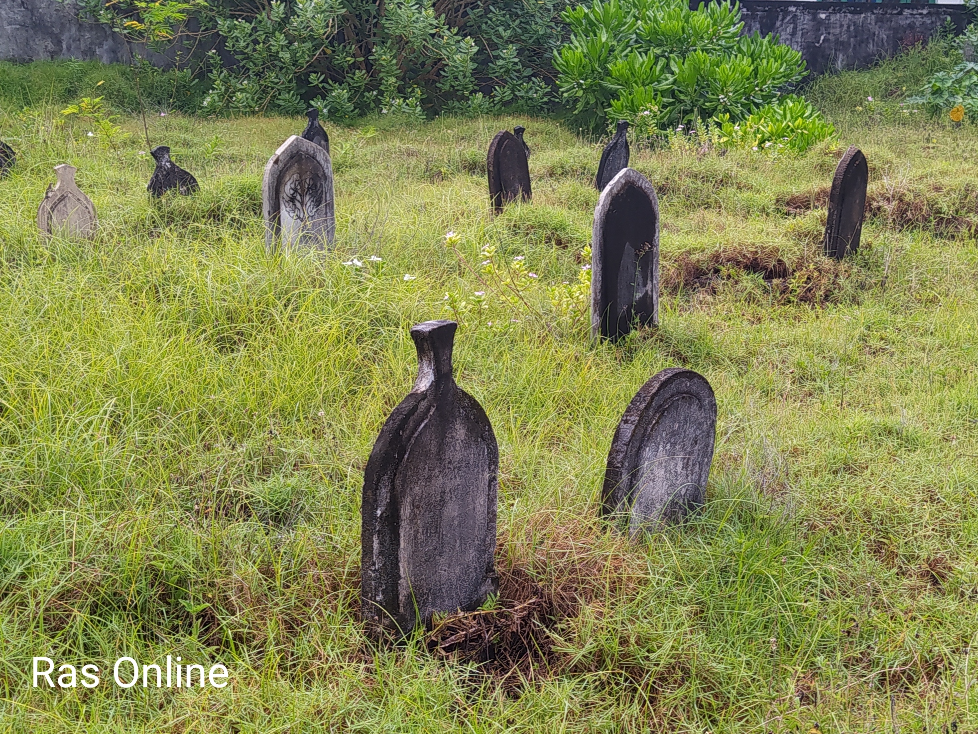 ތިބާގެ ޖަނާޒާއަށްފަހު...