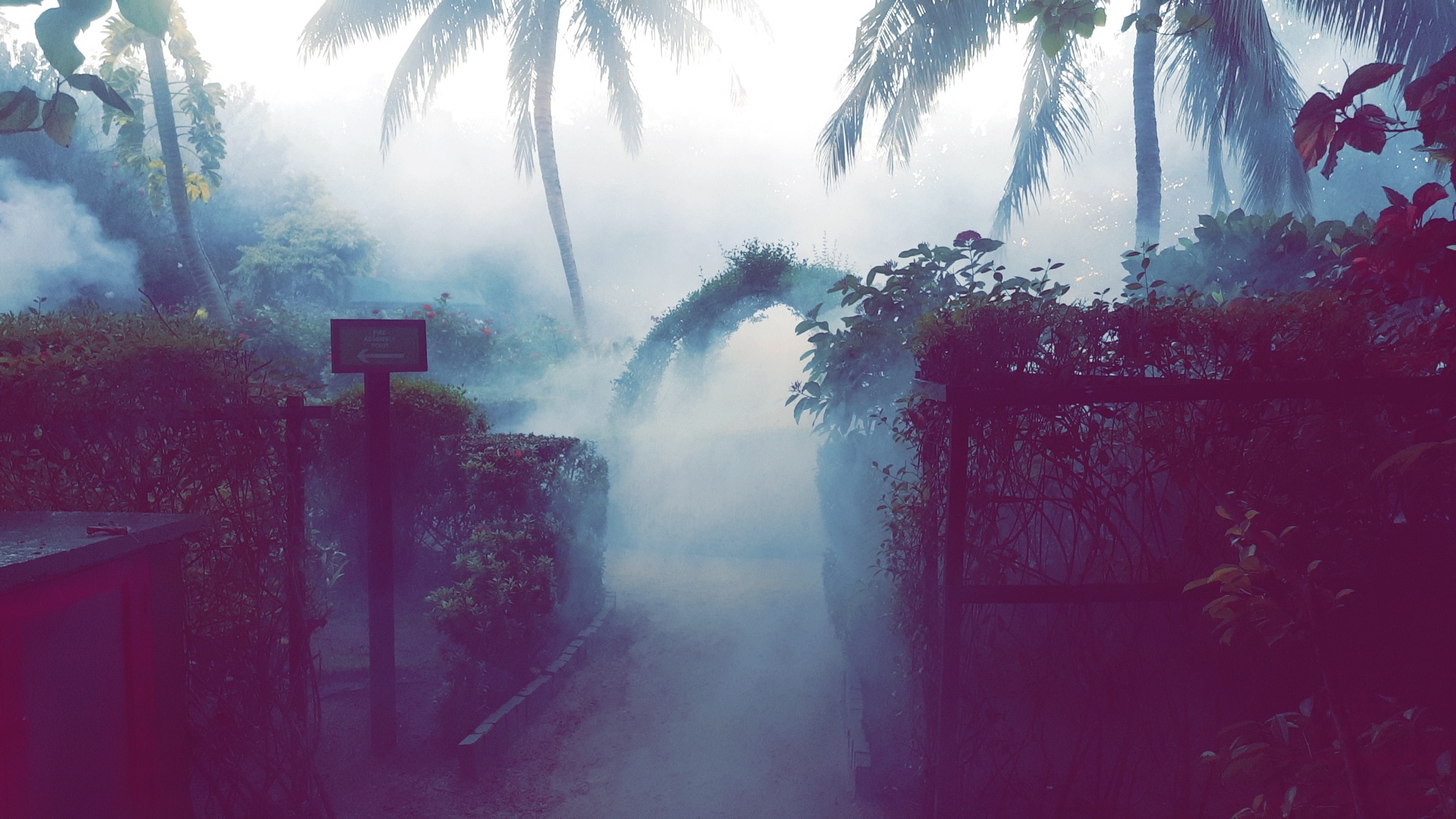 އުތުރާއި މެދުރާއްޖެ ތެރެއަށް ވައި ނުސާފު ވެއްޖެ