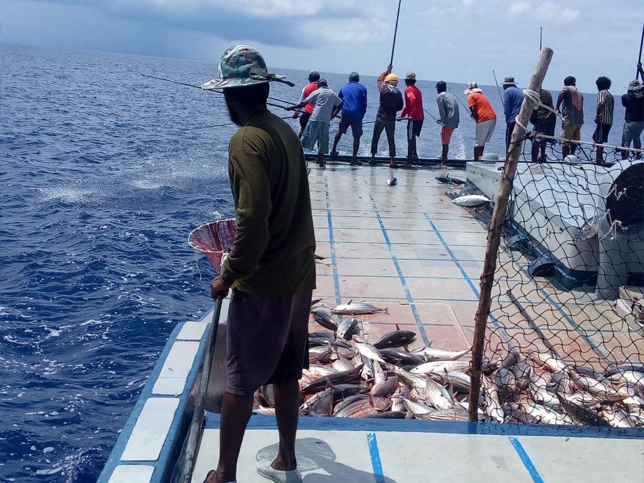 މާލެ ސަރަހަައްދުގެ ފްރީންލާންސް މަސްވެރިންނަށް މަސްވެރިކަން ކުރަން ހުއްދަ ދިނުމަށް ގޮވާލަައިފި