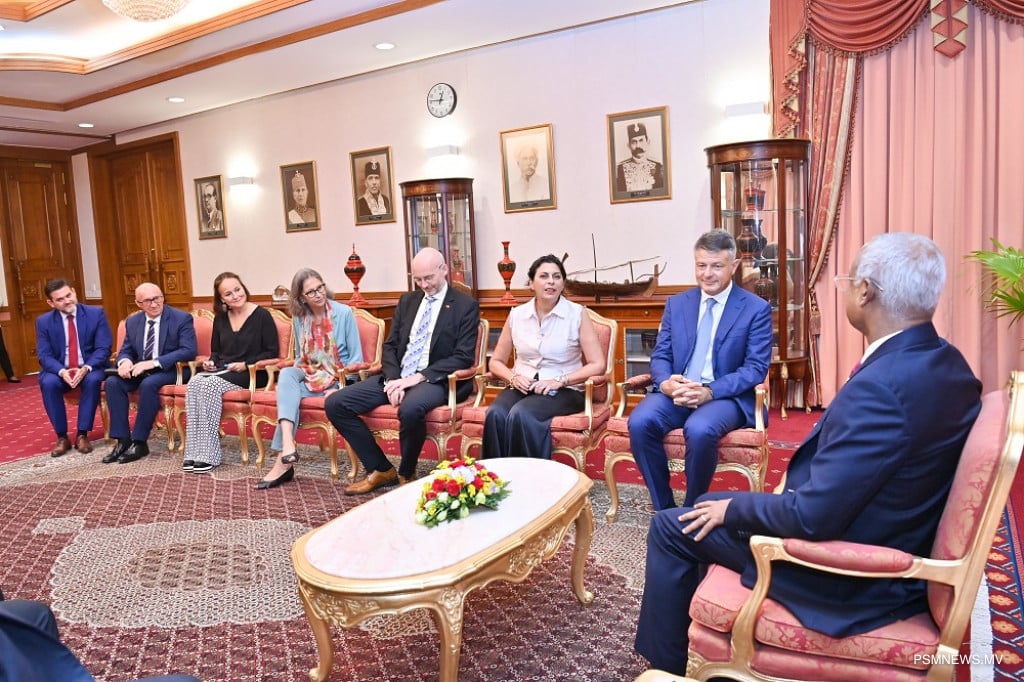 ޝެންގެން ވިސާ ލުއިކުރުމާ ގުޅޭގޮތުން މަޝްވަރާ ކޮށްފި