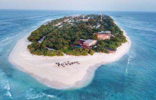 ކޯވިޑް-19: އިނގުރައިދޫ އިން ދެ މީހަކު ޕޮޒިޓިވްވެއްޖެ