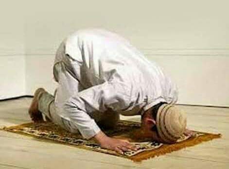 ނަމާދުކޮށް އުޅޭ މުސްލިމަކު ޝިރުކެއް ނުކުރާނެއެވެ.