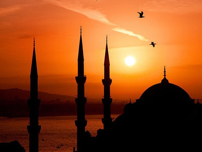 ދުނިޔެ ބަދަލުކޮށްލެއްވި ނަބިއްޔާ - 29