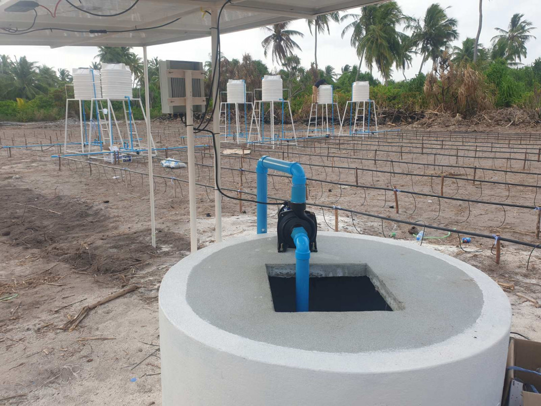 މޫސުމަށް އަންނަ ބަދަލުތަކާ ގުޅިގެން ދަނޑުވެރިކަމަށް ގޮންޖެހުންތަކާ ކުރިމަތިލާންޖެހޭ: މިނިސްޓްރީ