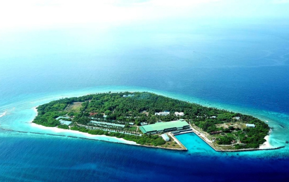 ކީކިމިނި އޮޕަރޭޝަނަށް ގެނަސް، މަސް ކިރަން ފަށައިފި