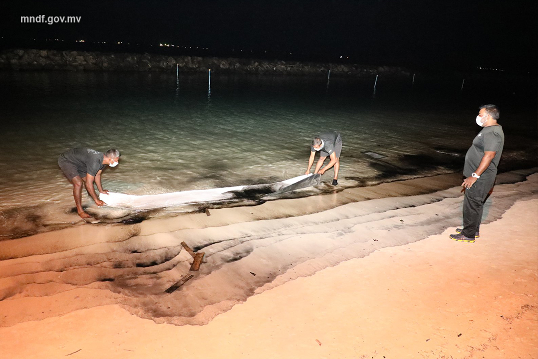 ރަސްފަންނު މޫދުގައި ކަޅުތެޔޮ؛ މޫދަށް އެރުން މަނާކޮށް ތަން ބަންދު ކޮށްފި