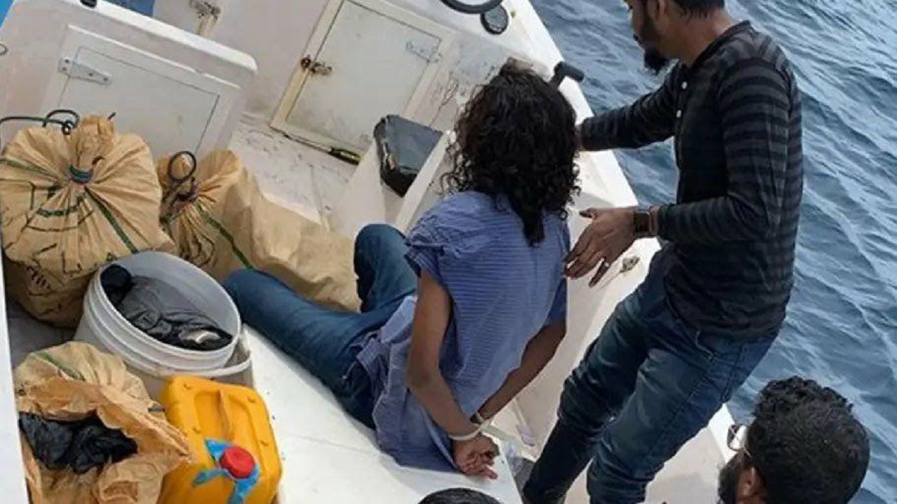 އައްޑޫ ޑްރަގް އޮޕަރޭޝަން: 80 ކިލޯގެ ޑްރަގްސް އަތުލައިގަތް - ސީޕީ