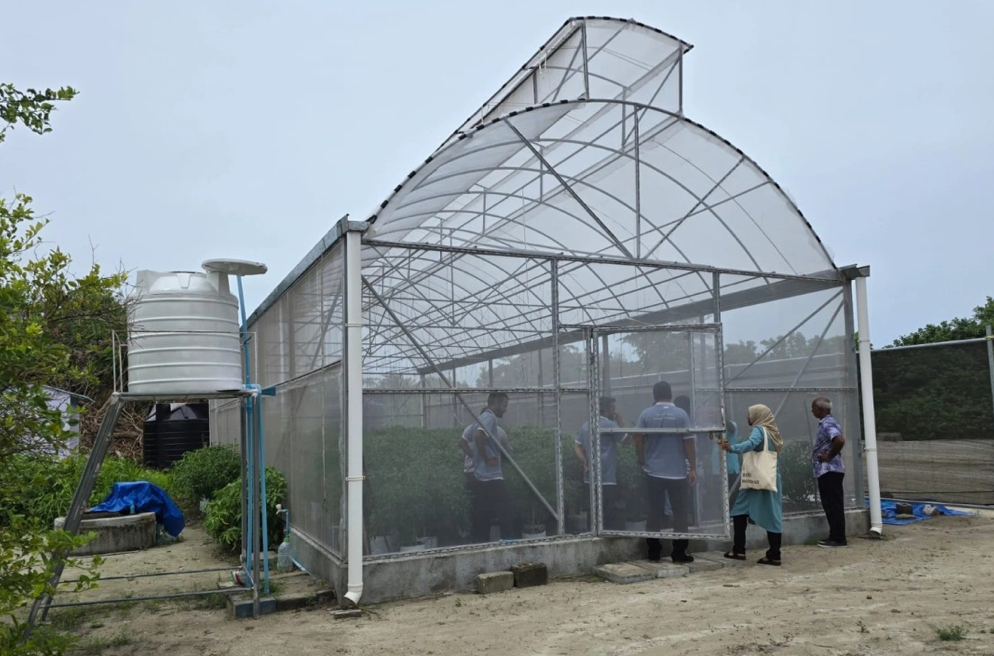 އުތުރުގެ 12 ރަށެއްގައި ގްރީން ހައުސް ގާއިމްކޮށްފި