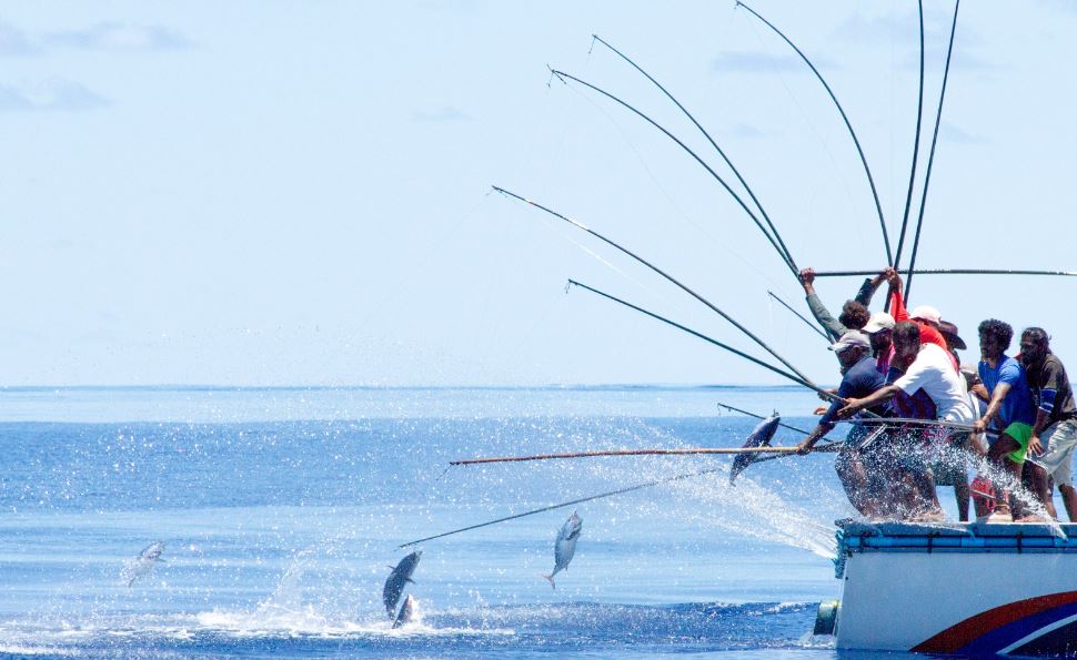 މަސްވެރިންގެ ދަފްތަރުގައި 10000 އަށްވުރެ ގިނަ މަސްވެރިން ރަޖިސްޓްރީވެއްޖެ