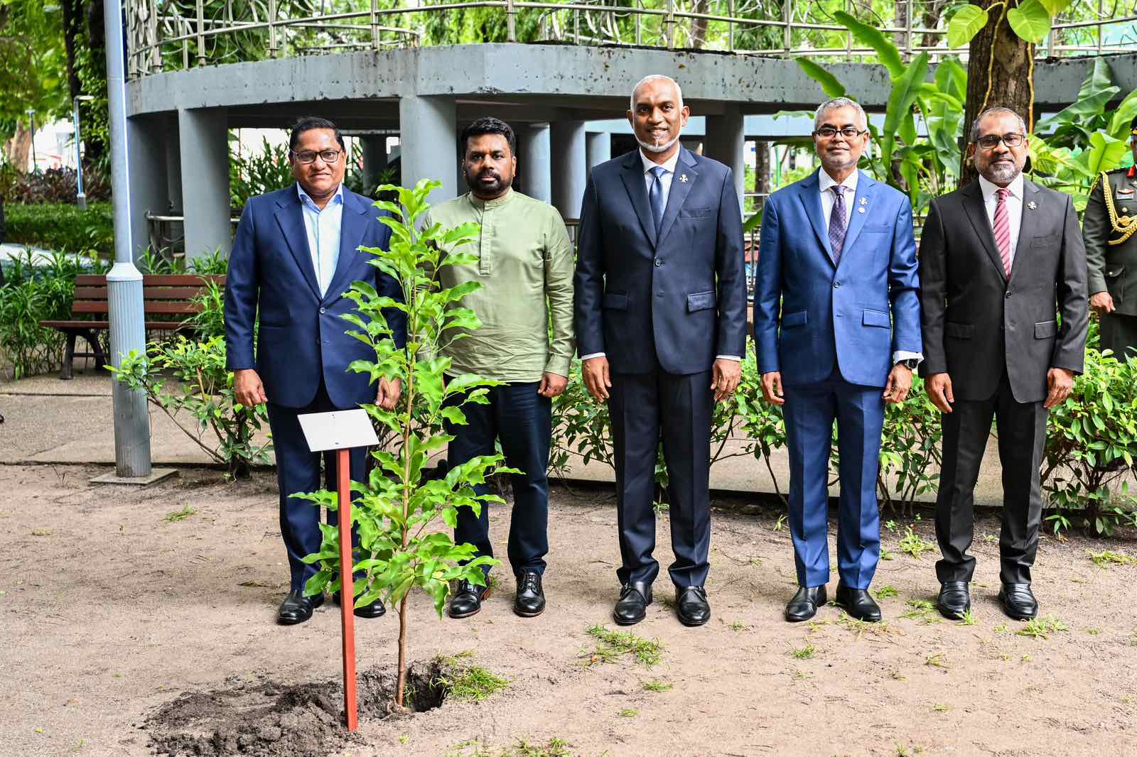 ރާއްޖެ-ލަންކާގެ ބަދަހި ގުޅުމުގެ ރަމްޒެއްގެ ގޮތުގައި ގަސް އިންދުމުގެ ހަރަކާތެއް