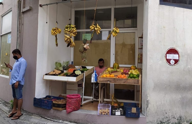 ދިވެއްސަކު ނިވާފަތްގަނޑަކަށްހުރެ ބިދޭސީން ވިޔަފާރިކުރުން މަނާކުރަން ފާސްކޮށްފި