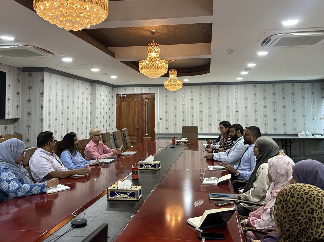 ދުންފަތް ކޮންޓްރޯލު ކުރެވޭނެ ޕްލޭނެއް ކަނޑައަޅަނީ