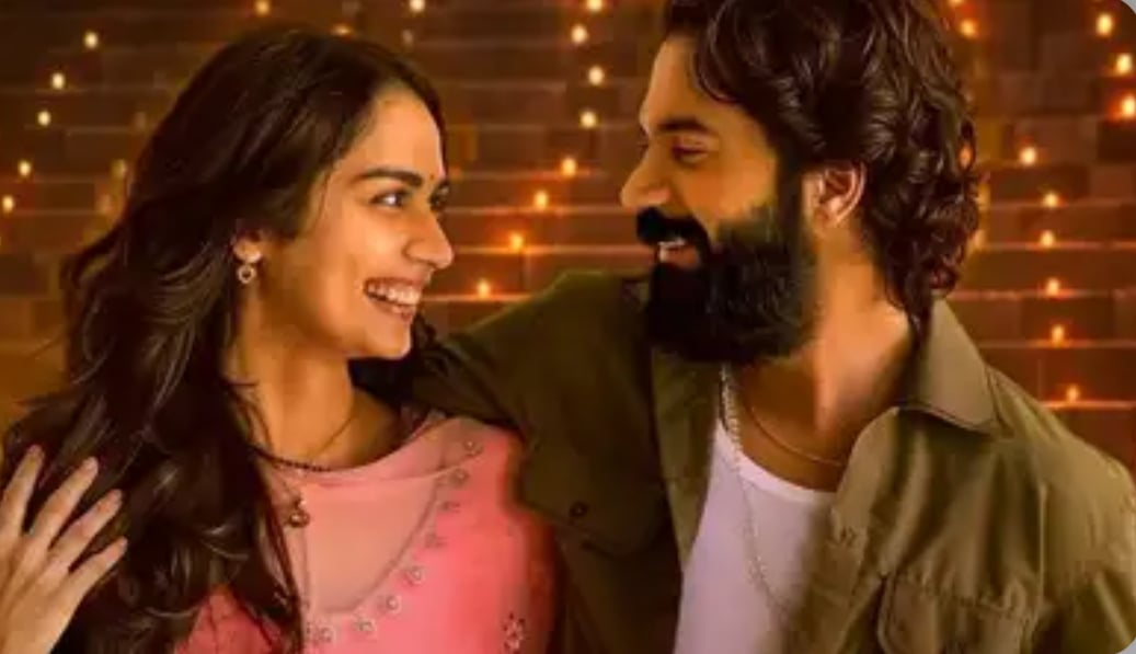 މާލިކް އަކީ ތަޅާފޮޅުން ޕްރޮމޯޓު ކުރާ ފިލްމެއް ނޫން: ރާޖްކުމާރު