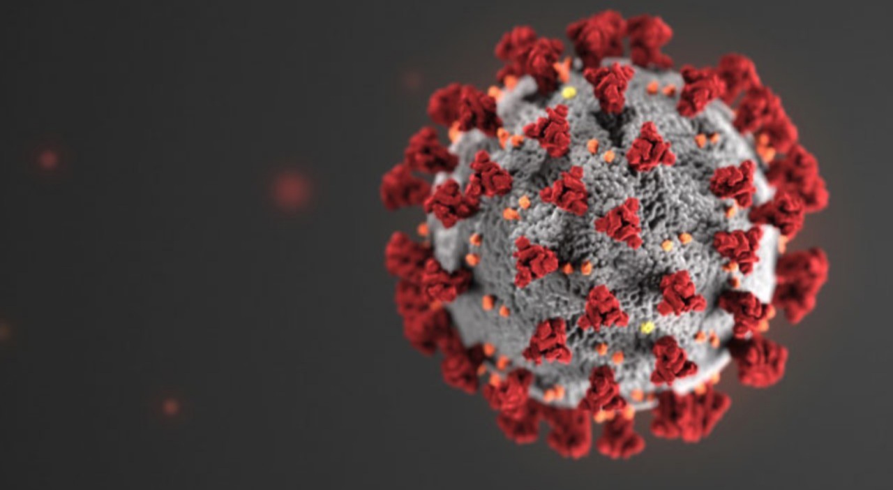 ކޮވިޑް-19: އެކަކަށް ދެފަހަރަށް ކޮވިޑް ޖެހިގެން މަރުވެއްޖެ