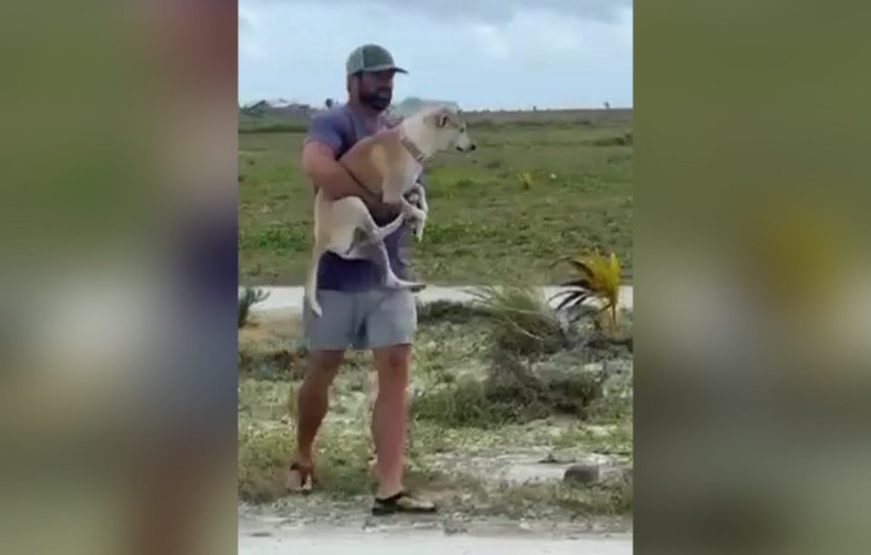 ހުއްދައާ ޚިލާފަށް، ކުއްތާއެއް ޔޮޓަކުން ބާލައިގެން ރާއްޖޭގެ ރަށެއްގައި ގެންގުޅުނު މައްސަލަ ބަލަނީ