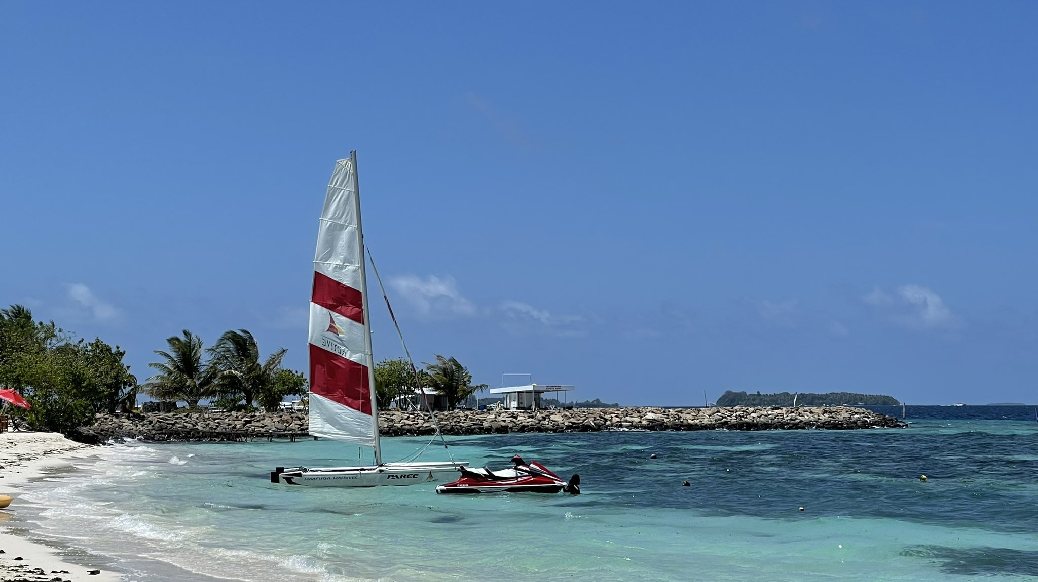 މާފުށީގައި ފަތުރުވެރިޔަކު ގެނބިގެން މަރުވެއްޖެ