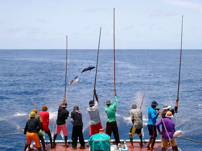 މިފްކޯގެ ބޯޑަށް މަސްވެރިޔަކު އައްޔަންކުރަން ހުޅުވާލައިފި