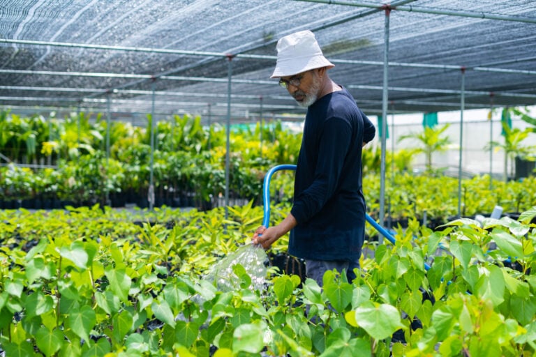 ދަނޑުވެރިކަމުގެ ދާއިރާއިން ރާއްޖެއިން ބޭރުގައި ކިޔެވުމުގެ ފުރުސަތު ހުޅުވާލައިފި