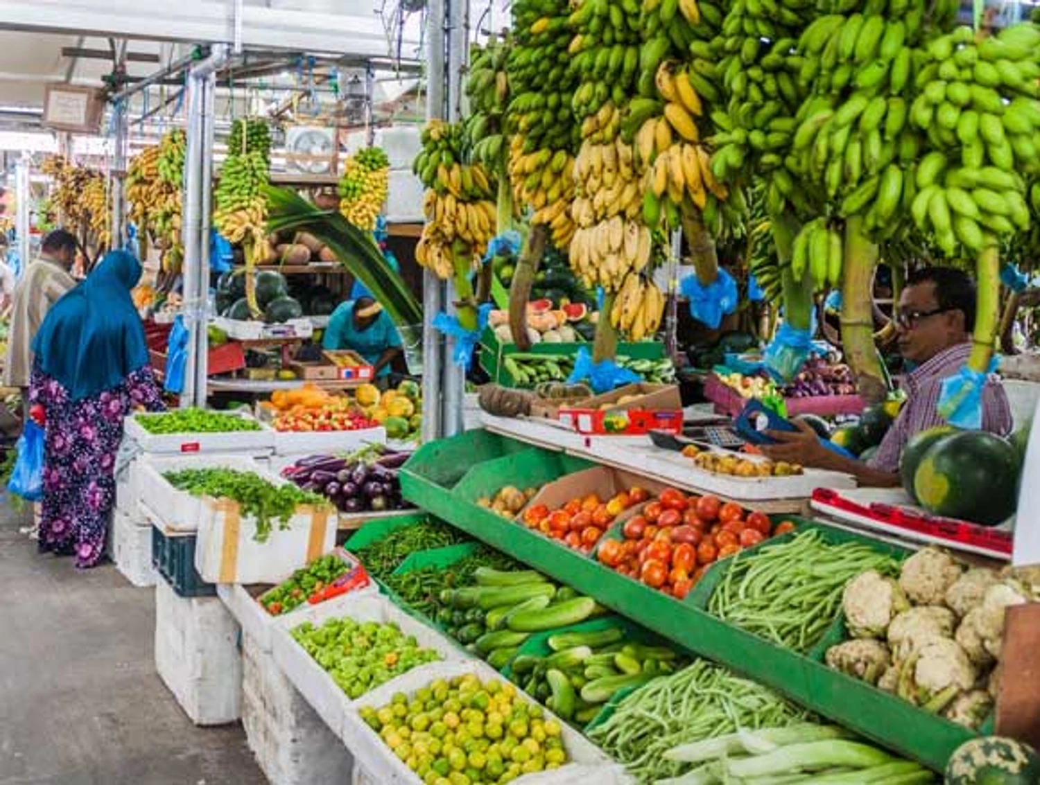 ފޭސް 2ގެ ވަގުތީ މާރުކޭޓްގެ ގޮޅި ކުއްޔަށްހިފުމުގެ ފުރުސަތު ހުޅުވާލައިފި