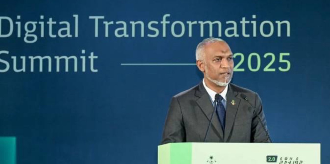 ޑިޖިޓަލް ޓްރާންސްފޮމޭޝަން ކައުންސިލް އުފައްދައިފި