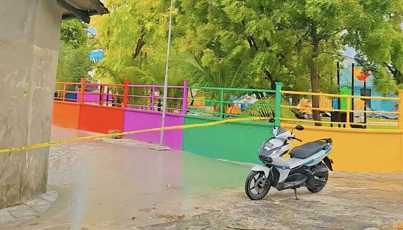 އުނގޫފާރުގައި ކަރަންޓުގައި ޖެހި ކުއްޖަކު ނިޔާވި މައްސަލާގައި ފެނަކަ ޖޫރިމަނާކޮށްފި